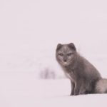 信誉良好的网赌平台大全,玩家必看攻略与评测 7wndtwmb