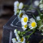 体验财神爷老虎机:让你乐享游戏乐趣与刺激 9qlkuvf3