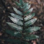 免费体验:最受欢迎的PG试玩网站推荐与评测 9uinhsu3ls