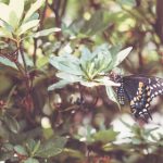 体育首存彩金的领取流程与注意事项,确保顺利到账 t86uxoe