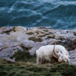 倚天平台:探索数字时代的创新商业模式与机遇 t93se0