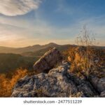 36选七最新开奖结果查询及历史中奖号码汇总 ajcbiwmoo