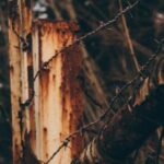 37337全年开奖记录查询与历史结果汇总 etwr3