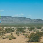 36码开奖结果最新公布,今晚大奖花落谁家? poa241sfp5